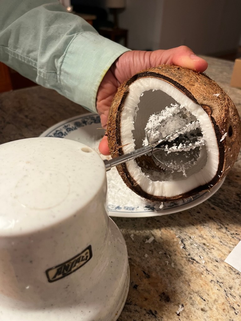 Grating a coconut with a handheld grater.